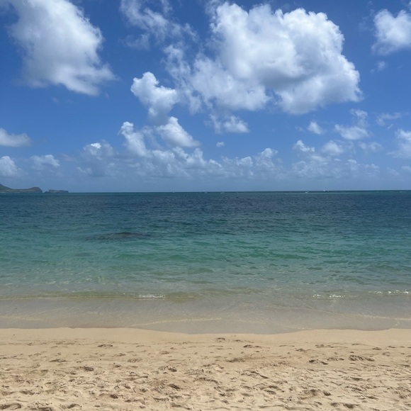 Meet your Posher, - Picture 1 of 1